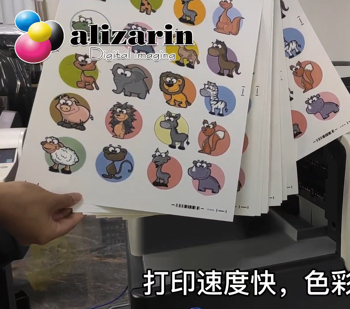 Cprint TWL-300R laser transfer paper continuous sheet to sheet print & cut for 100% cotton T-shirts | AlizarinChina.com