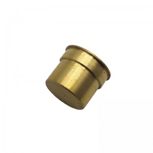Trending Products Precision Metal Parts – Brass Die Casting – Anebon