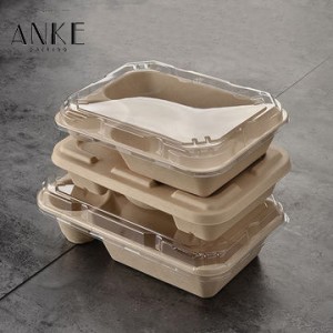 Eco-Friendly 2 Compartment Wheat Straw Pulp Food Box with Lid | Customizable