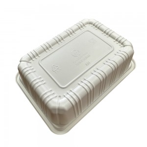 Stylish and Sustainable PLA Lunch Boxes for Customized Packaging | ANKE