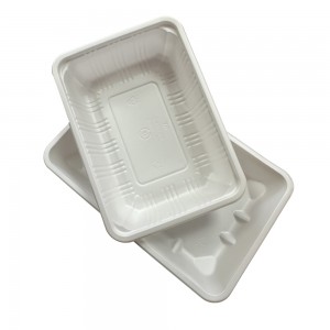 Customized PLA Lunch Boxes for Sustainable Packaging | ANKE