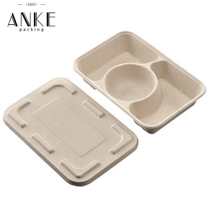 Custom Biodegradable 3 Compartment Takeaway Food Box with Lid | Eco-Friendly Food Packaging