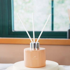 Hot Sale Customized Home Decoration Aroma Reed Diffuser Bottle