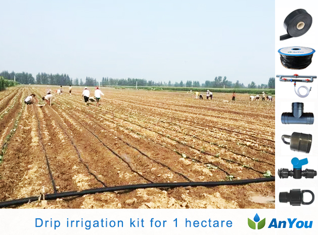 Drip irrigation kit for 1 hectare