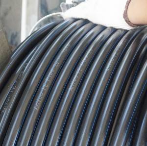 LDPE Pipe 20mm
