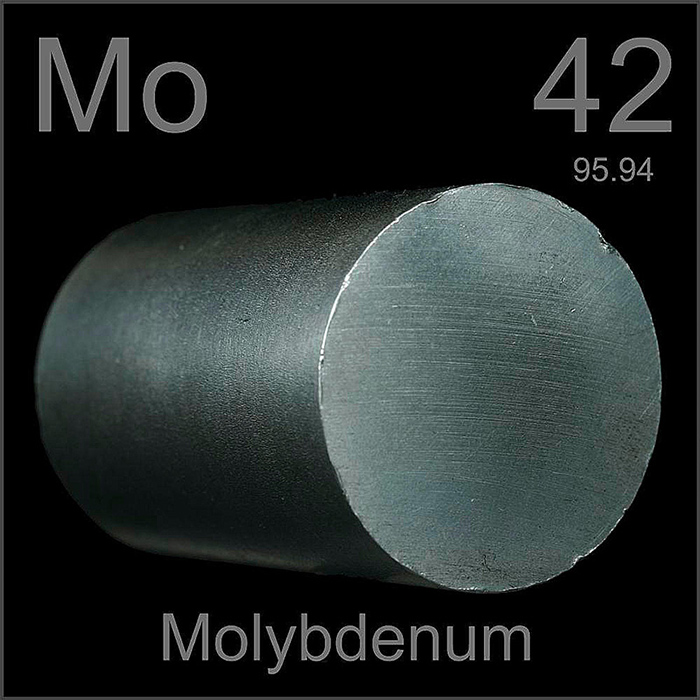 Understanding the Impact of Molybdenum in Stainless Steel