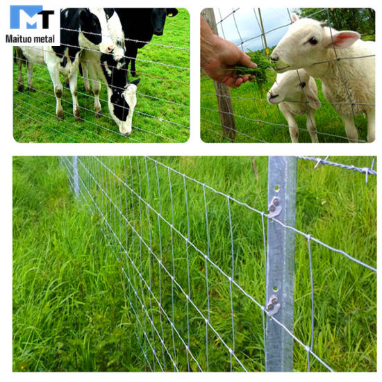 Livestock Fence /Farm Field Fence /Cow Fence /Deer Fence/Sheep Fence