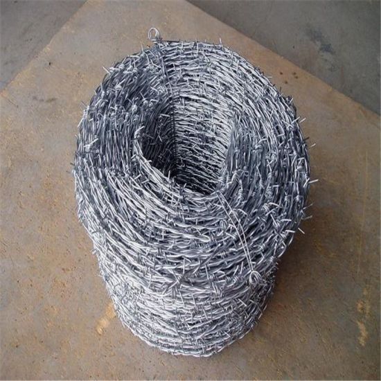 Wire Barbed Galvanized Hot Dipped