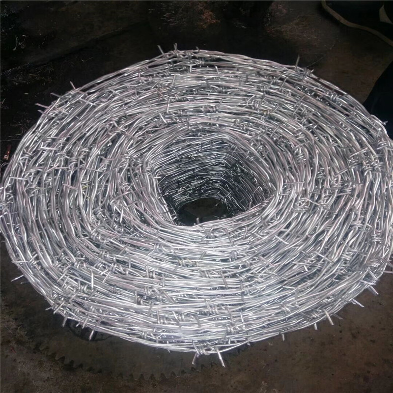Hot Dipped Galvanized Barbed Wire for Fencing
