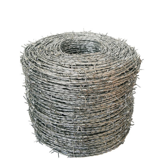 Electro Galvanized Barbed Wire for Barrier