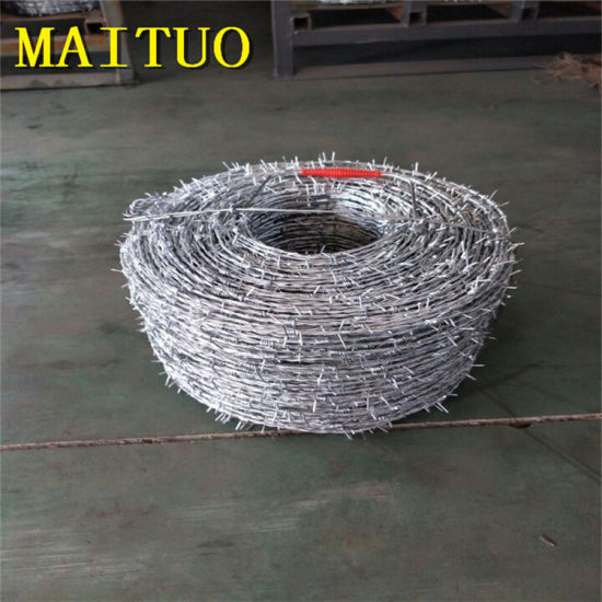Galvanized Barbed Wire for Security