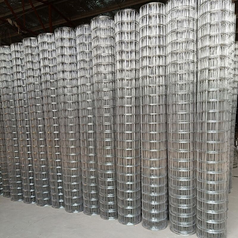 ss welded wire mesh 03