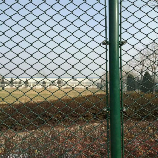 PVC/PE Coated Chain Link Fence Factory