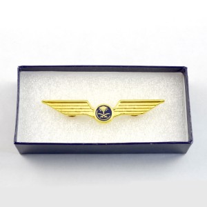 ຕົວຢ່າງຟຣີເຮັດໃຫ້ໂລໂກ້ຂອງທ່ານເອງ ໂລຫະທອງທອງແດງທີ່ເຮັດດ້ວຍໂລຫະ bronze gold pilot wings badge