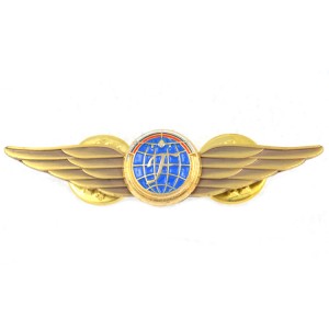 Wholesale china Free Sample Make Your Own Logo custom metal bronze gold plating pilot wings pin badge