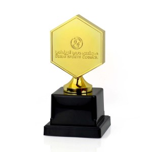 Marathon Sports Award Medaly Custom Quality 3D Engrave Metal Blank Trophy Award Plaque Golden Star Trophy Cup
