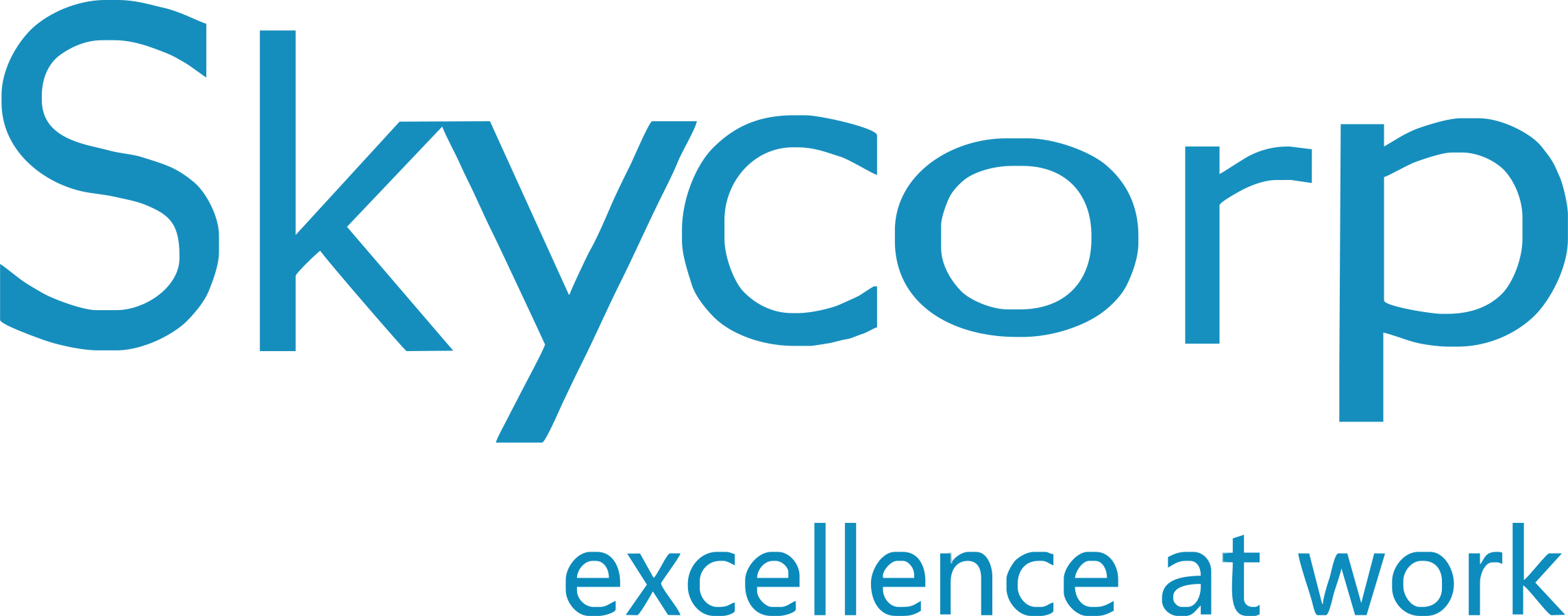 skycorp logotipi NB