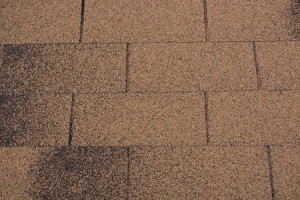 Жеңіл түсті глазурь 3 Tab Desert Sand Roof Еңіс төбеге арналған тақтайшалар