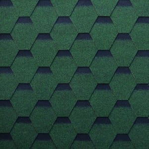 Green Hexagonal ngā tuanui tinga