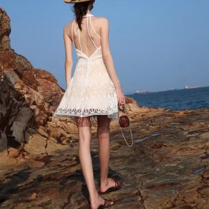 Customized Mini Backless Organza Lace Travel Beach Dresses
