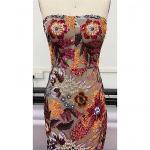 Floral Embroidery Sexy Mesh Party Dresses Manufacturer