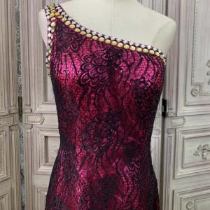 Lace Elegance Fashion Designer Dresses Manufacturer