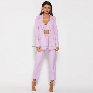 Purple Career Office Work Blazer 2-Piece Suit For Women