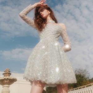 Luxury Embroidered Sequin Puffy Dress