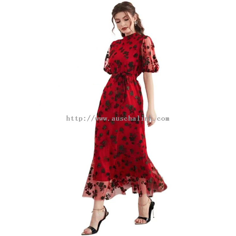 Stand Collar Red Floral Lace Lantern Sleeve Dress