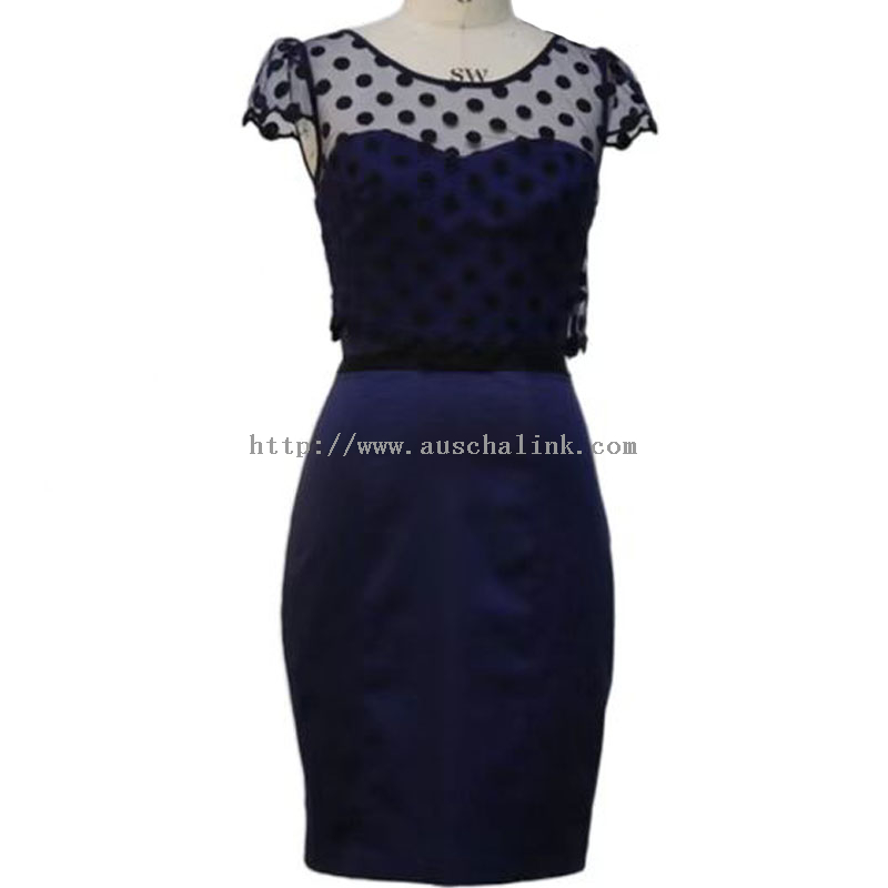 Wrap Evening Dress - OEM/ODM New Short-sleeve Mesh Round Neck Polka Dot Flared Professional Dress for Women – Auschalink