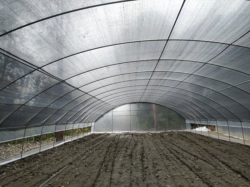 Farming Singlespan/Tunnel Greenhouse with Irrigation and Hydroponic Growing System-PTD002