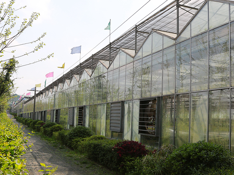 Factory Wholesale Price China Agriculture Productive Multi-Span Hydroponic System Glass Greenhouse for Cannabis/Hemp/Tomato/Cucumber/Strawberry/Pepper/Cucumber/Exhibition-PMV004