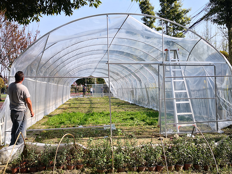 High tunnel tomato greenhouse with shade net,agriculture greenhouse-PTD003