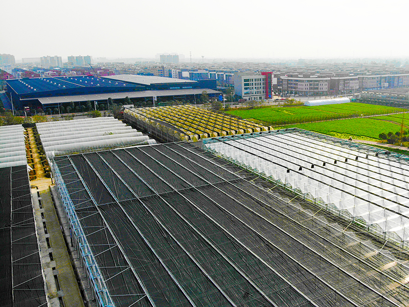 China wholesale Multi-Span Pc Greenhouse - Commercial Multi-span Greenhouse for Agriculture Planting With Rolling Bench And Shading System-PMD002 – Aixiang