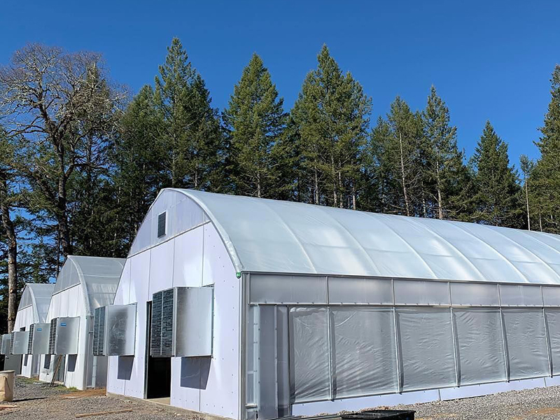 Automatic plastic film greenhouse
