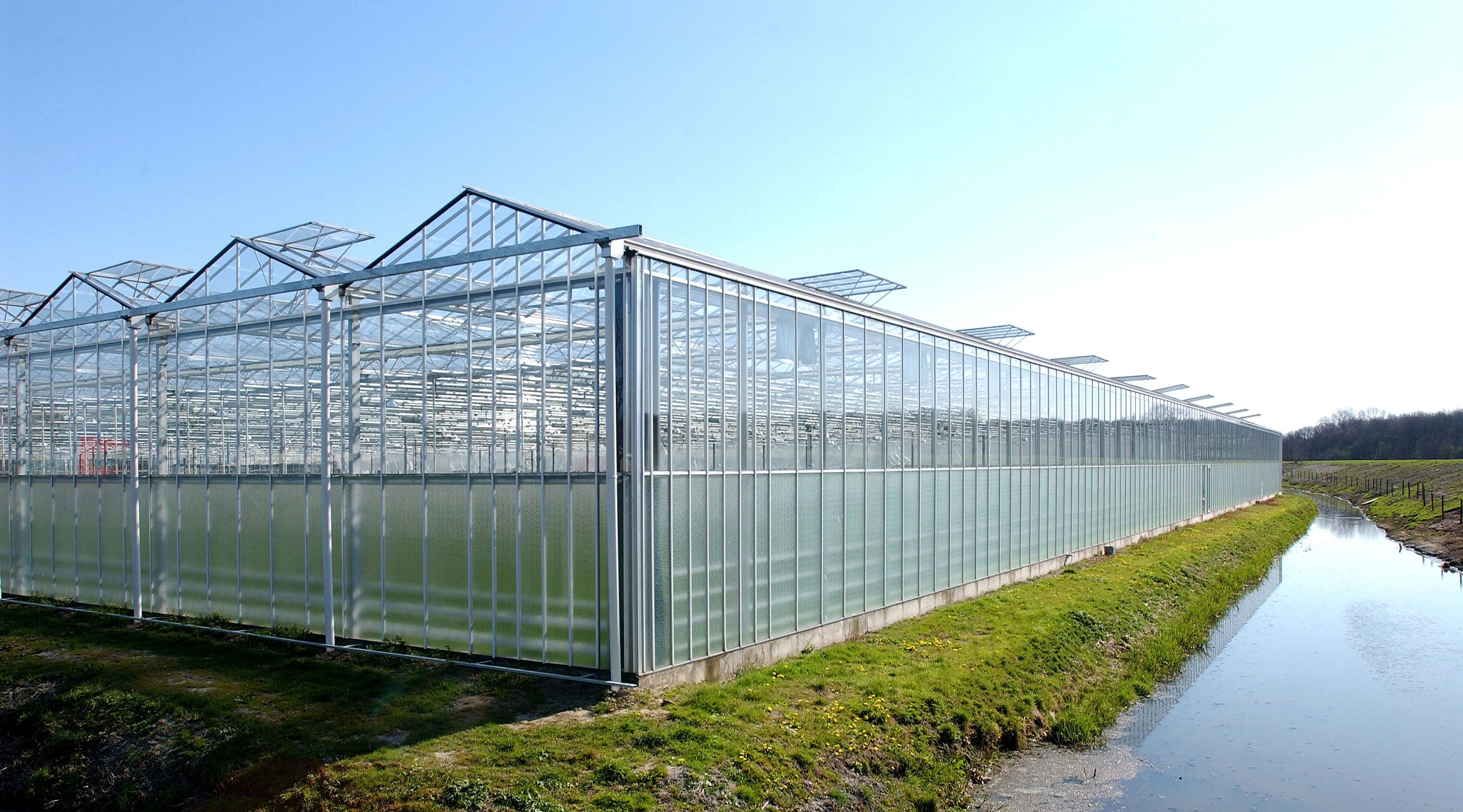 GLASS GREENHOUSE & PLASTIC SHED COST OF SIX COOLING MEASURES 丨AIXIANG GREENHOUSE