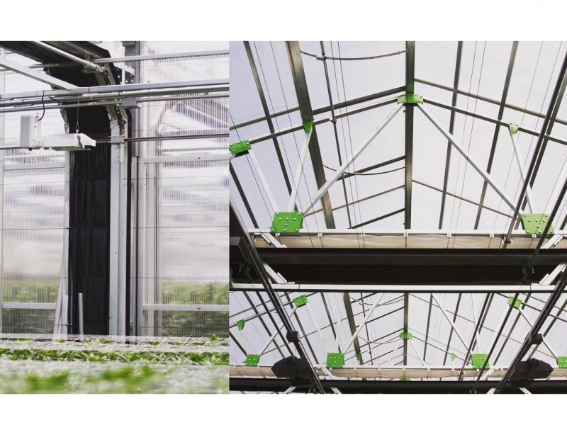 China Einfach Struktur Galvanized Stol Frame PC Polycarbonate / PE Po Film / Glas Multi Span Tomate / Strawberry / Gurken / Peppers Zären fir Gaart / Commercial-PBMV002