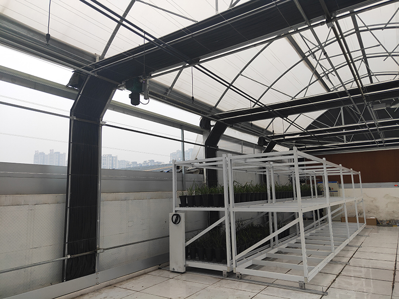 ແສງກະເສດການເສື່ອມສະພາບເຮືອນແກ້ວ Blackout Greenhouses Tunnel Green House with Cooling Pad and Exhaust Fans for Hemp Growing-PBSG007