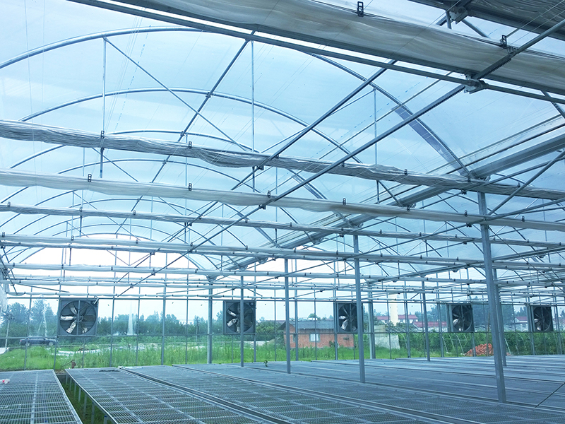 Multi-Span Glass And Film Greenhouse
