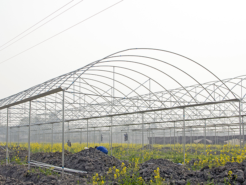 Simple multi-span film greenhouses with cheaper price list-PMD011