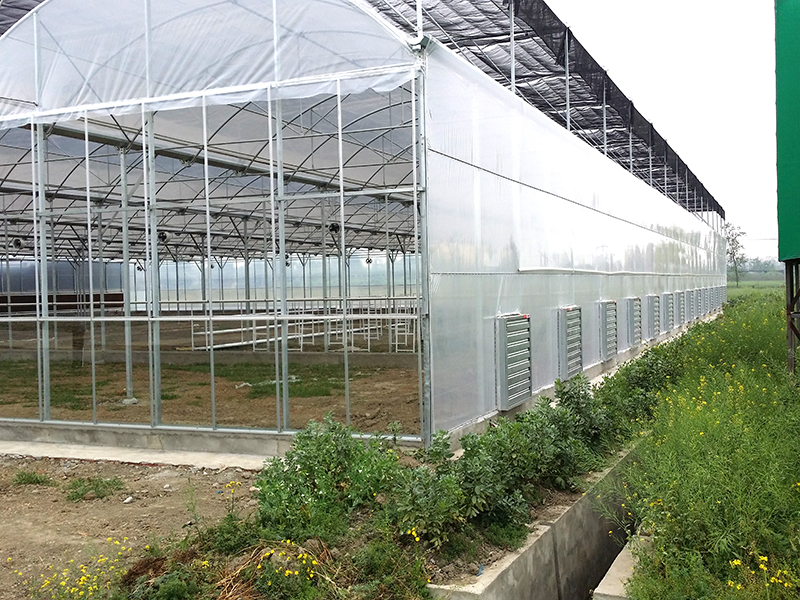 Low Cost Agricultural Greenhouse Tunnel Multi Span Plastic Film Greenhouses for Sale-PMD012