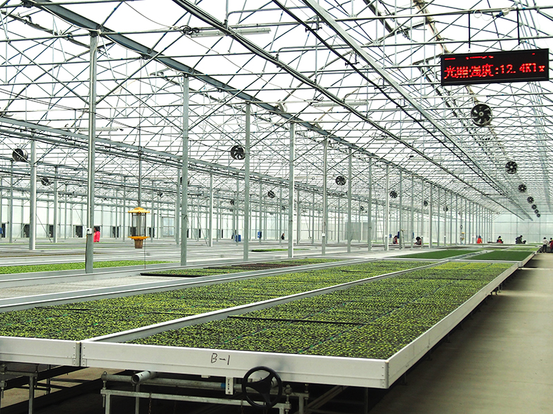 Large-span Nursery Greenhouse, Automatic Irrigation/Ventilation/Lighting/Temperature Control-PMG004