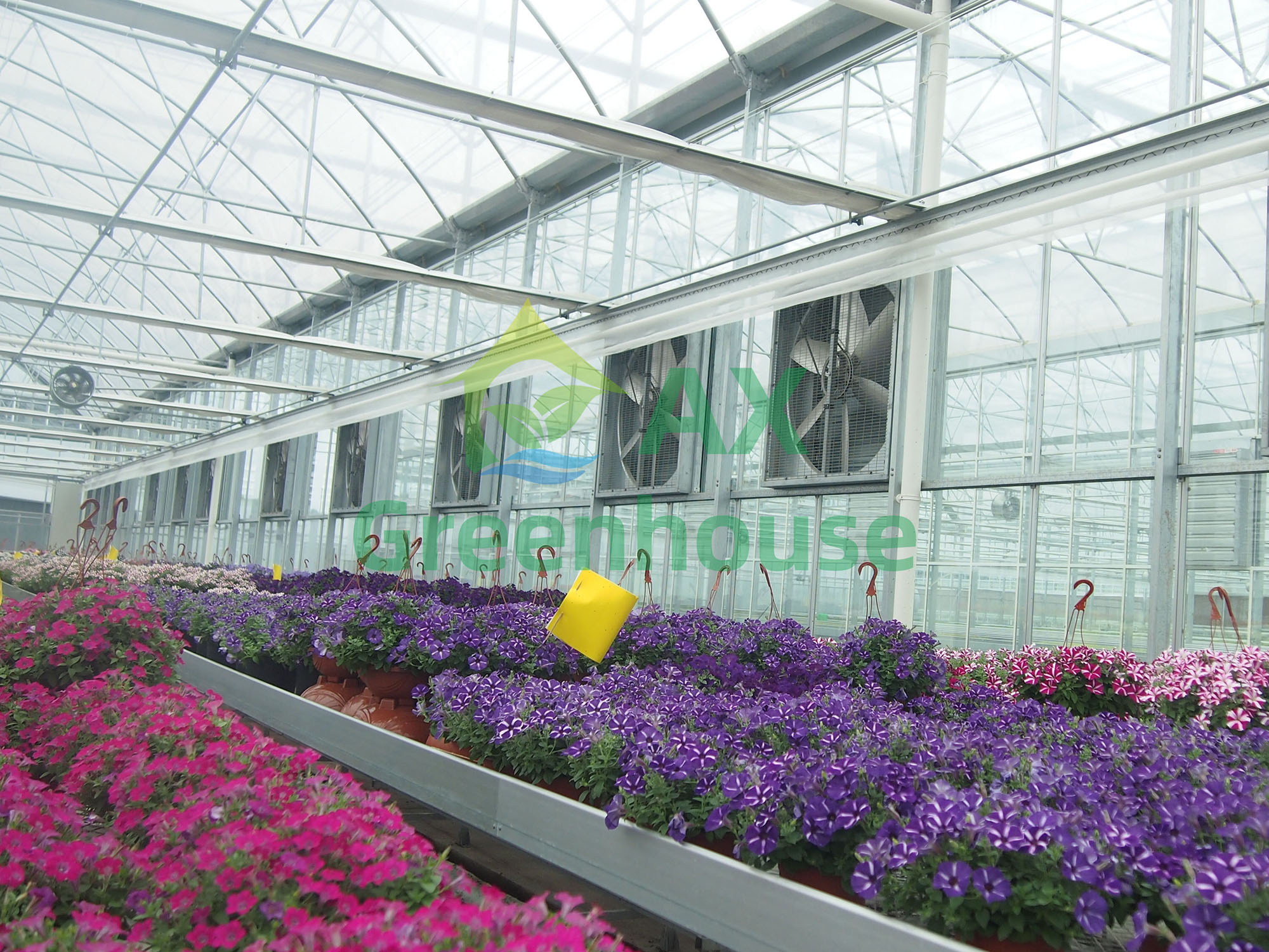 Ukubuka kwe-multi span greenhouse