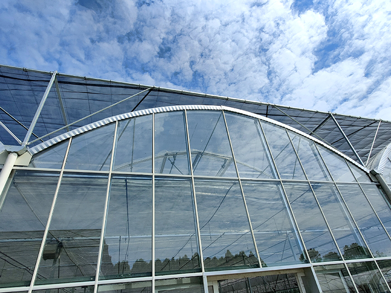 Gothic Tunnel Glass GreenHouse for Agriculture Farming-PMG007