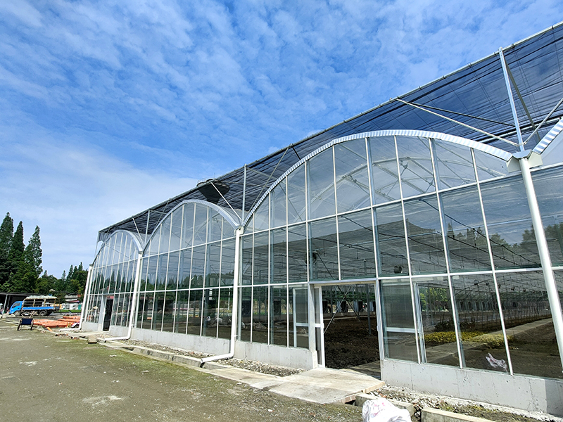 Gothic Tunnel Glass GreenHouse for Agriculture Farming-PMG007
