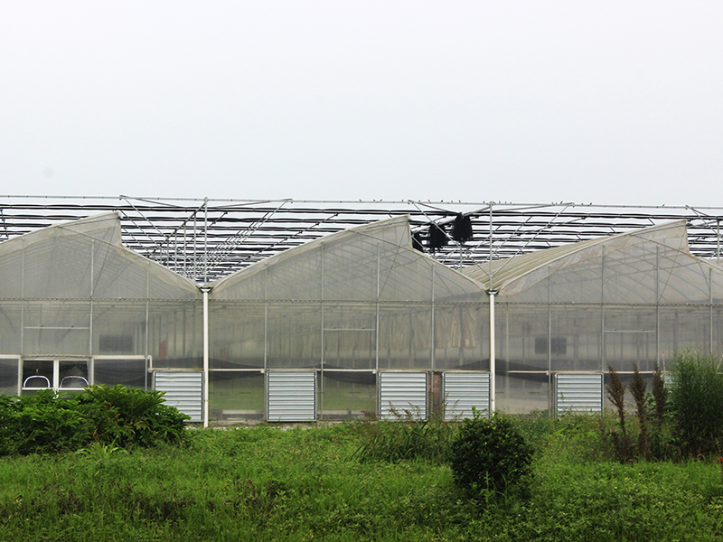 Factory Selling China Hot-dip Galvanized Saw-Tooth Greenhouse-PMS005