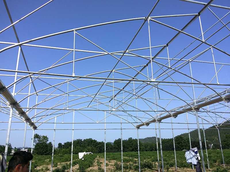 Professional China Span Greenhouse - Low Cost Multi Span Sawtooth Greenhouse for Tropical Region Polytunnel-PMS007 – Aixiang