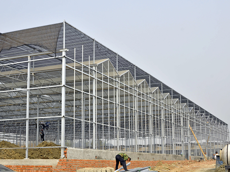 Venlo Multi-span Commercial Glass Greenhouse, Top-opening Window Covering PC Board-PMV010