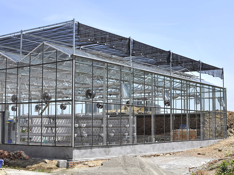 Professional Manufacture For China Venlo Type Tempered Glass Greenhouse With Hydroponics-PMV011