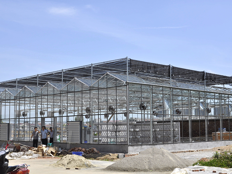 Professional Manufacture For China Venlo Type Tempered Glass Greenhouse With Hydroponics-PMV011